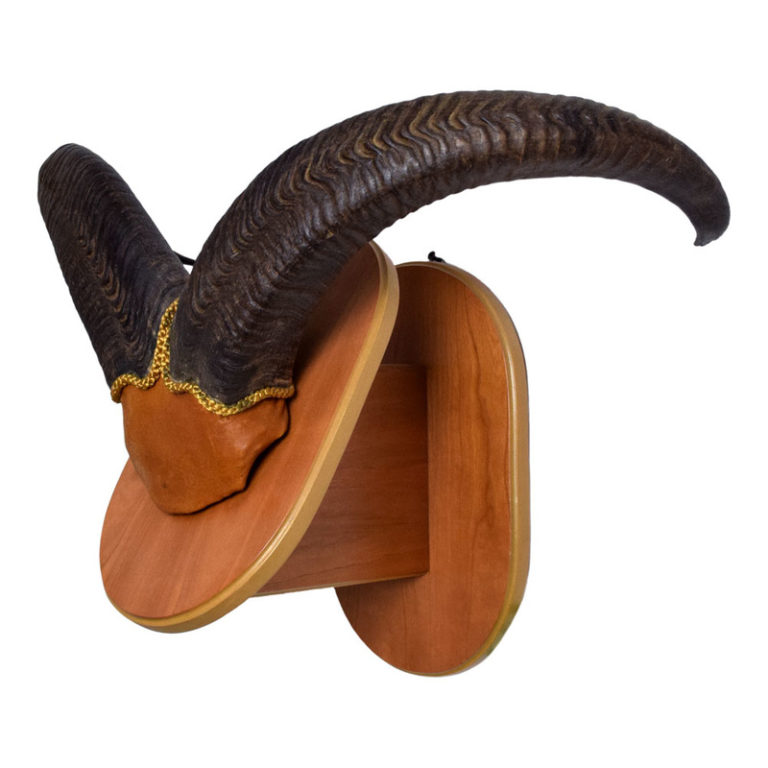 Table Lamp Kudu Horns Taxidermy Mounts for Sale and Taxidermy