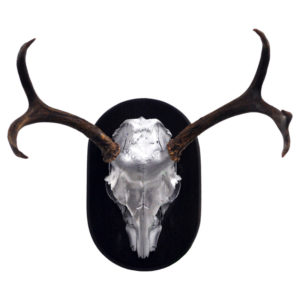 Silver Deer Skull & Antler Rack on Plaque