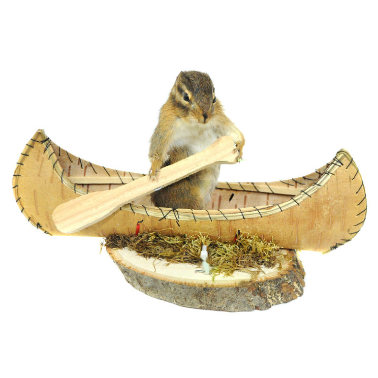 Jackalope Taxidermy Mounts for Sale and Taxidermy Trophies for Sale!