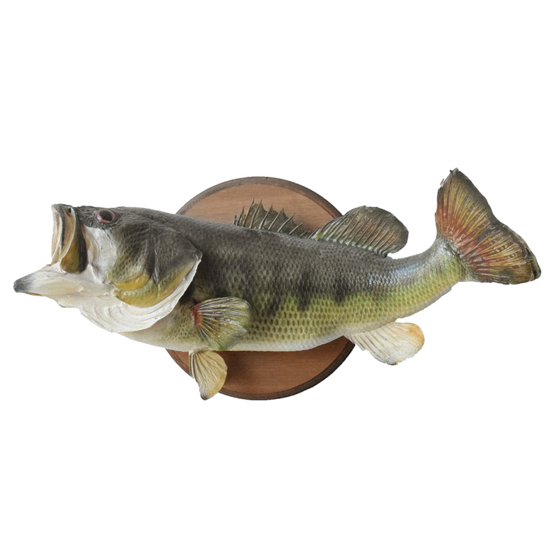 Bass Largemouth Taxidermy Mounts for Sale and Taxidermy Trophies for