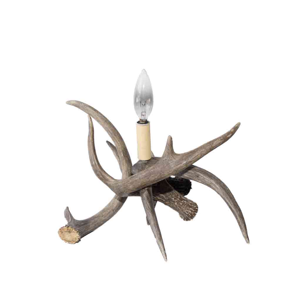 Table Lamp Whitetail Deer Antler Taxidermy Mounts For And Whitetail Deer Antler Table Lamp