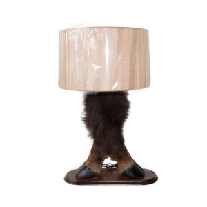 Buffalo Foot Table Lamp with Shade