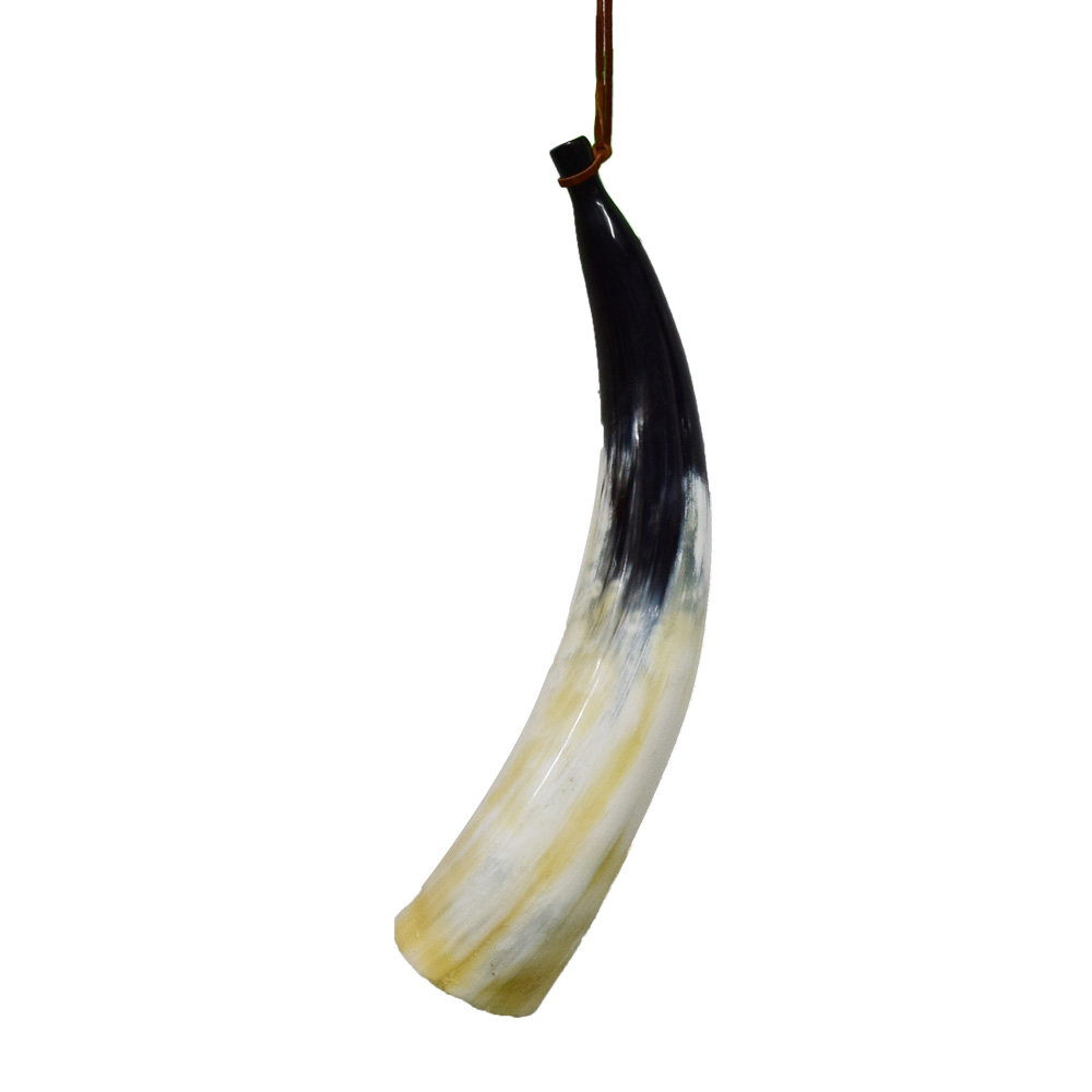 Blow Horn Taxidermy Mounts for Sale and Taxidermy Trophies for Sale!