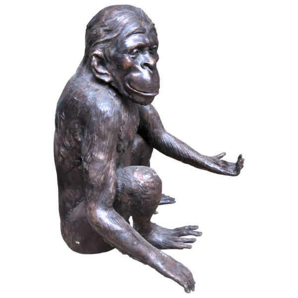 Primate "Give Me"
