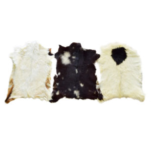 Assorted Baby Goat Skins