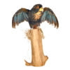 Bronze-Winged Pionus
