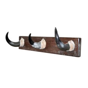 Steer Horn Coat Rack