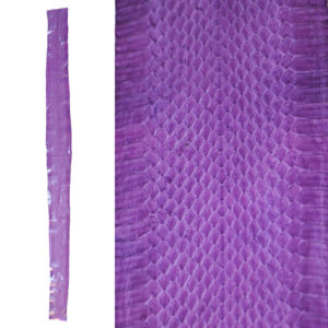 Sea Snake Skin
