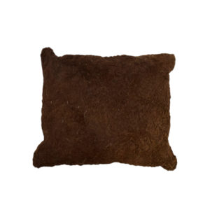 Bison pillow