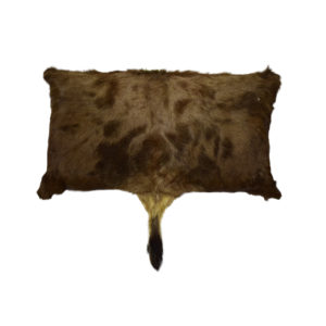 bushbuck pillow