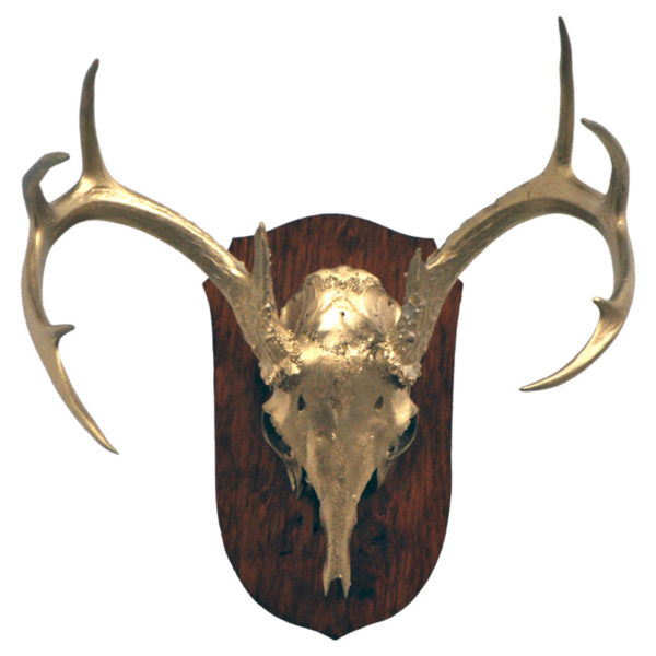 Gold Whitetail Deer Skull & Antler Rack on Plaque