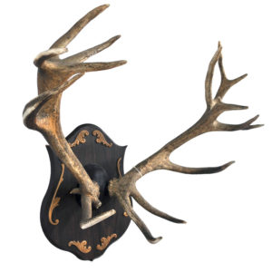 Red Stag Antlers