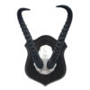 Springbok Skull & Horns - 14" Horns