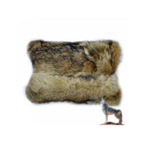 Coyote Fur Pillow