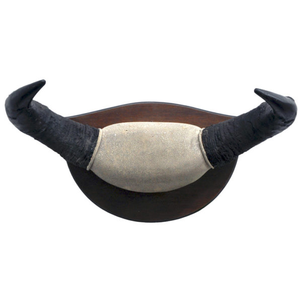 Vintage Buffalo Horns
