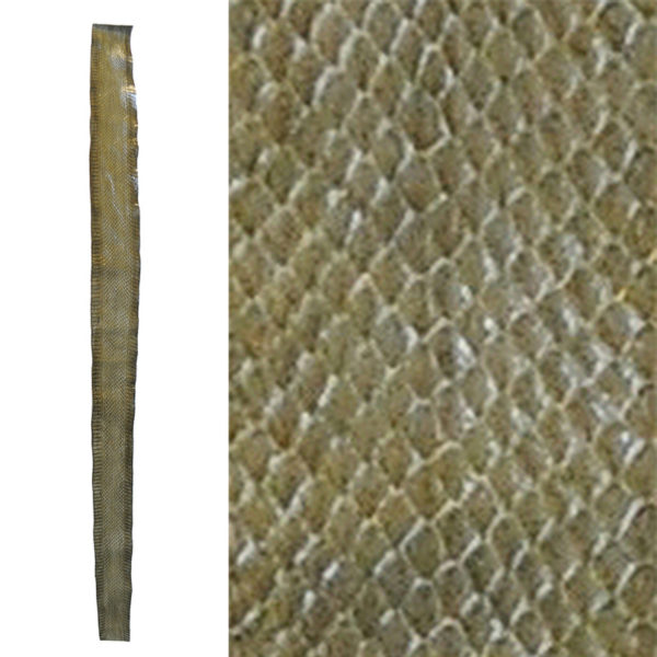 Sea Snake Skin