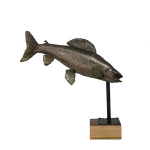 Chernobyl Trout