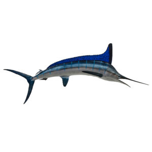 Marlin