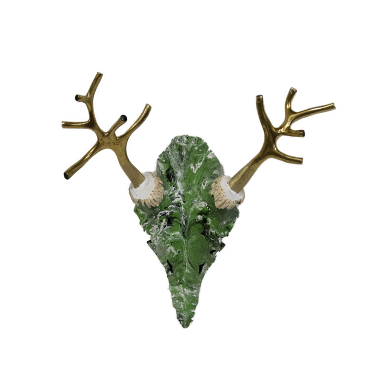 Designer, Solid White Cow Skull & Horns Wall Art Taxidermy Mounts for Sale and Taxidermy