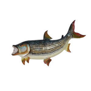 88305-023-Tiger-fish