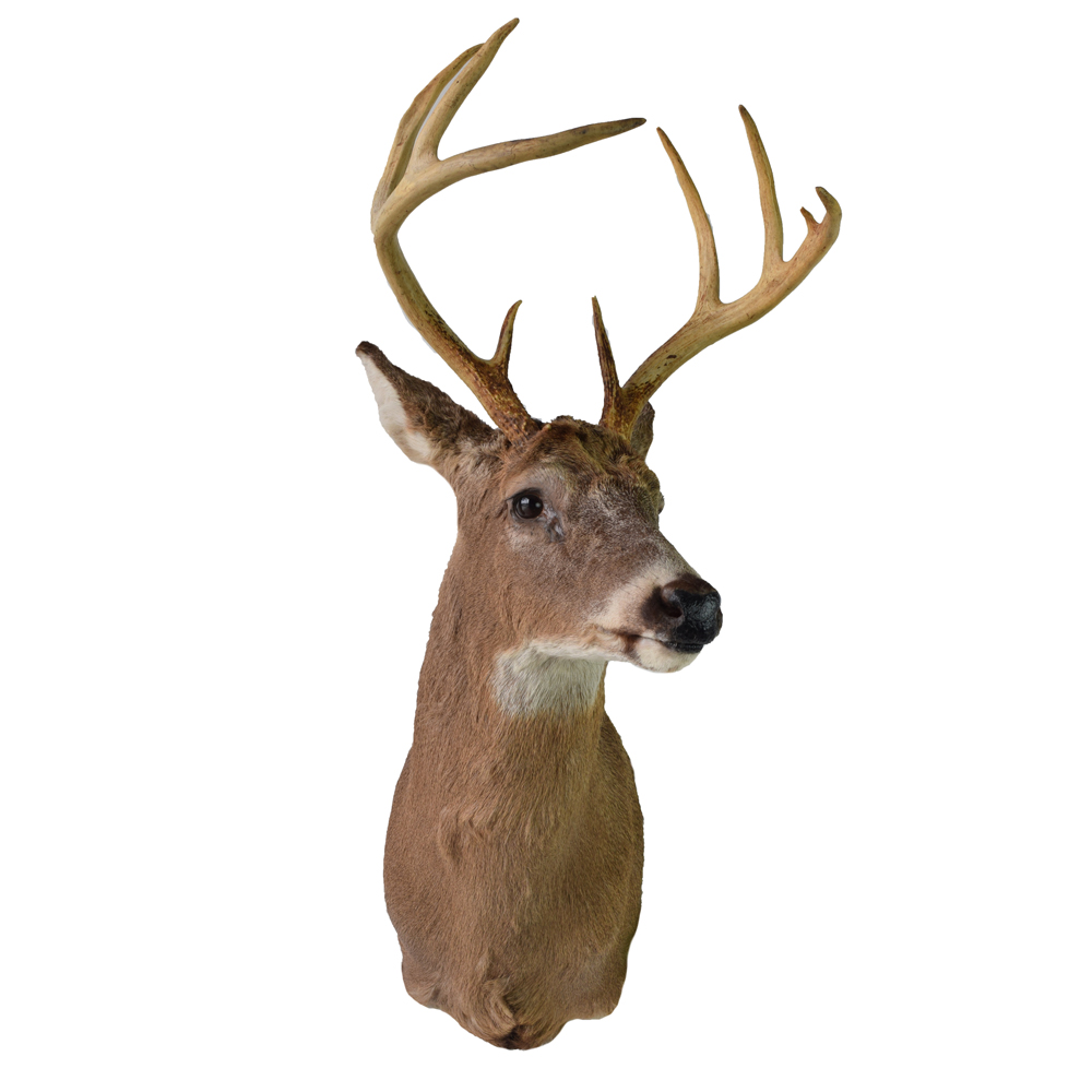 whitetail divorced singles Divorced singles near you search now sign up free and browse already a member log in misskandi83 goodmale pittmapg1 ruquia dezyhot. whitetail divorced singles Divorced singles near you search now sign up free and browse already a member log in misskandi83 goodmale pittmapg1 ruquia dezyhot.