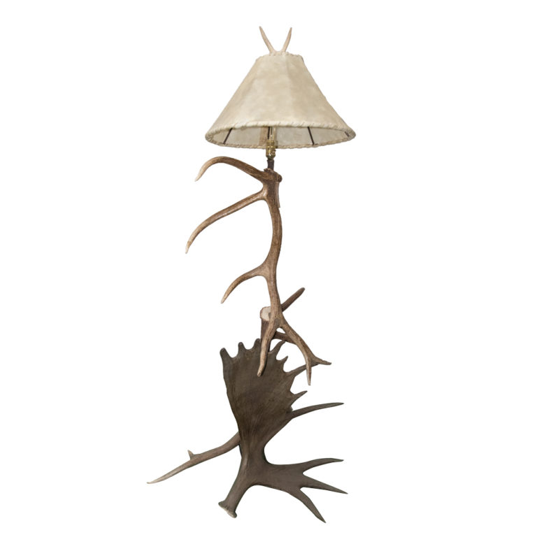 Chandelier Wrought Iron Taxidermy Mounts for Sale and Taxidermy