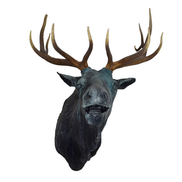 Elk Bronze
