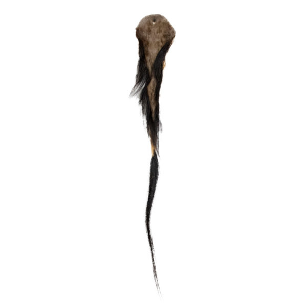 Wildebeest Tail