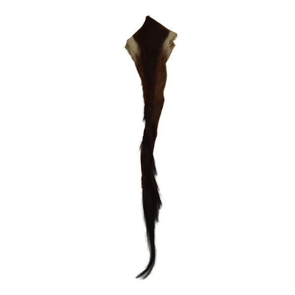 Sable Tail
