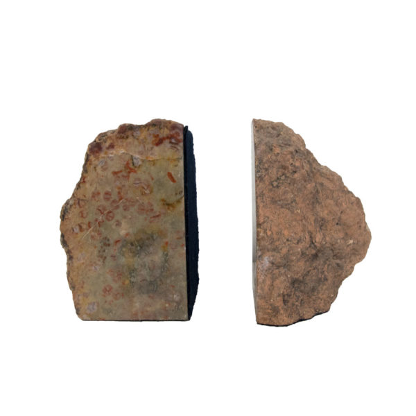 Coprolite (Fossil) Stone Bookends