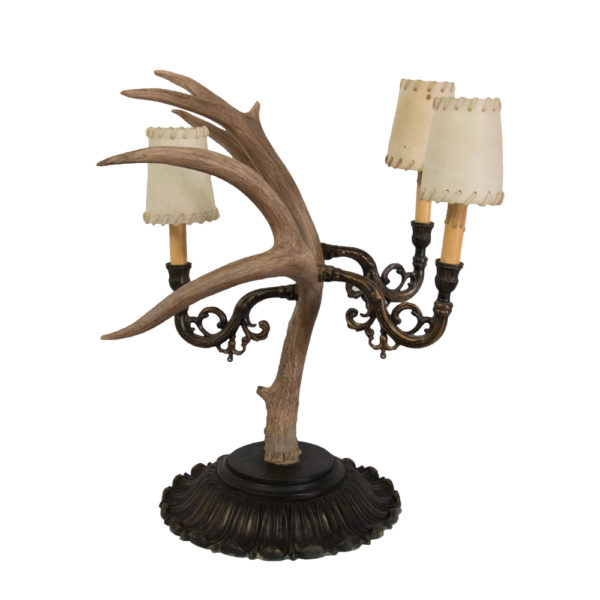 Mule Deer Antler Table Lamp