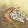Tiger Thinking