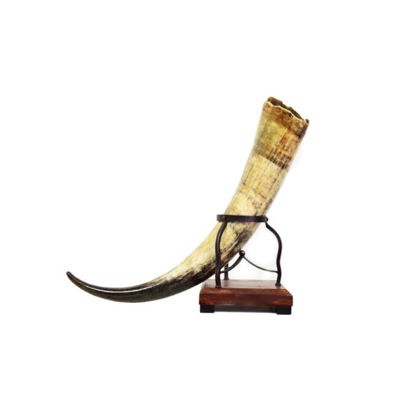 Ankole Horn on Iron&Wood Base