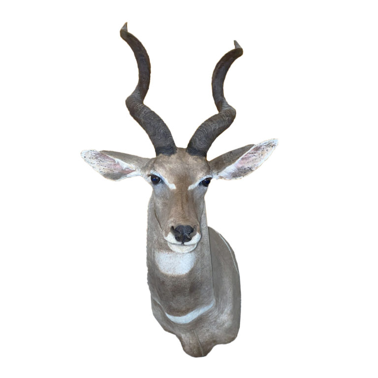 Jackalope Taxidermy Mounts for Sale and Taxidermy Trophies for Sale!