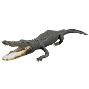 Alligator