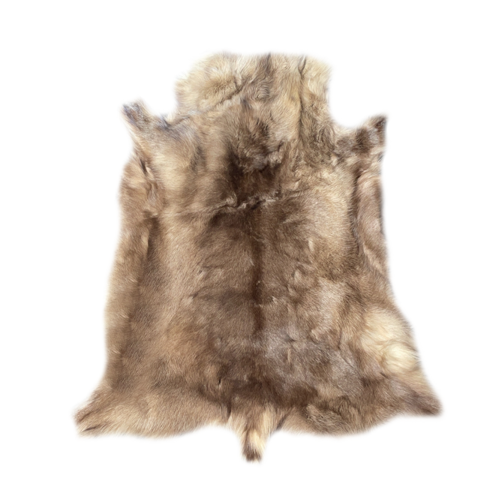 Blesbok Skin Rug - Taxidermy Mounts for Sale and Taxidermy Trophies for ...