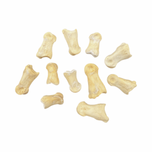 Deer Knuckle Bones