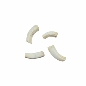 Giraffe Teeth