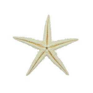 White Starfish